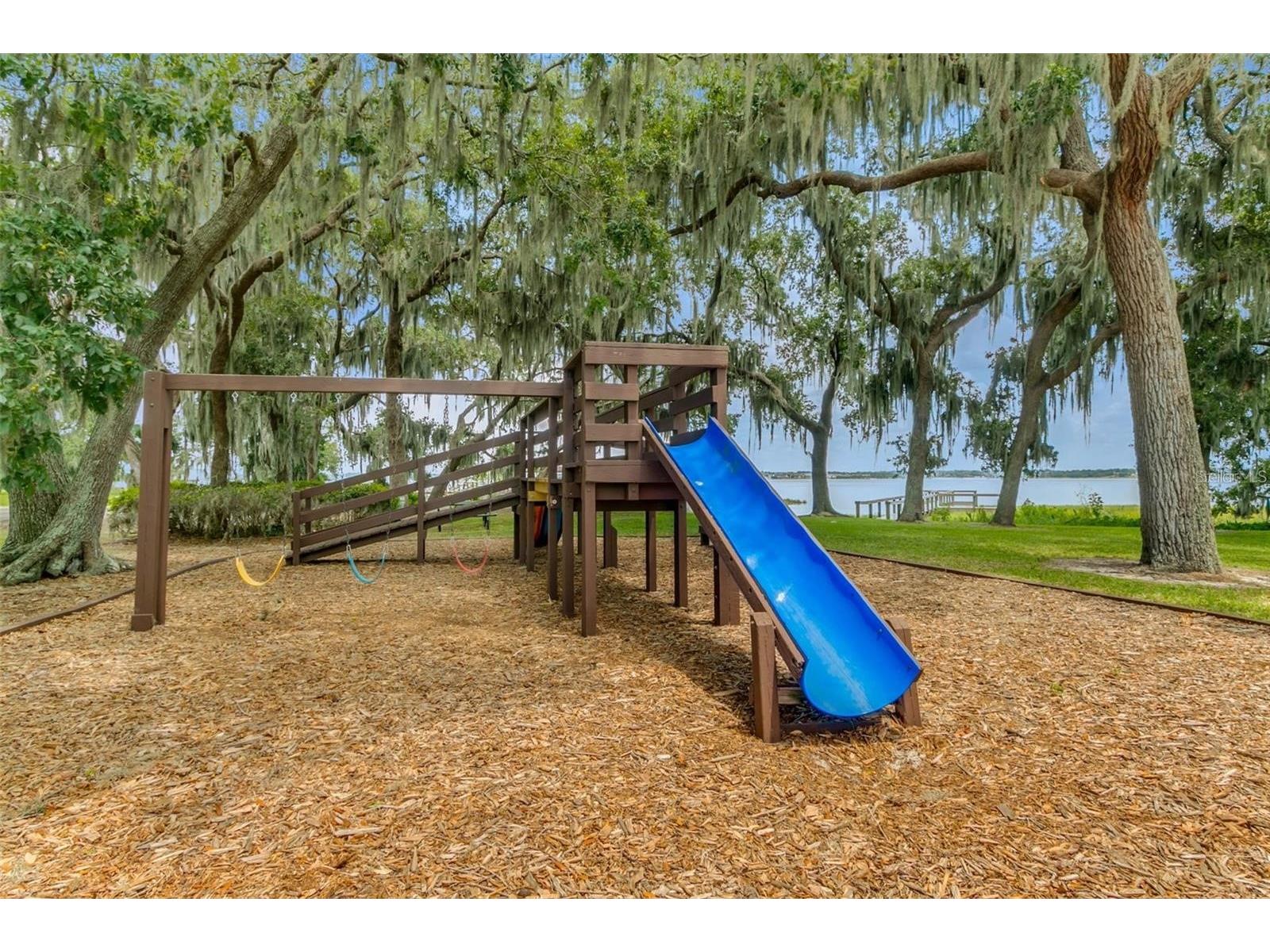 16545 Spring Park Drive Clermont FL 34711 O6388533 image36
