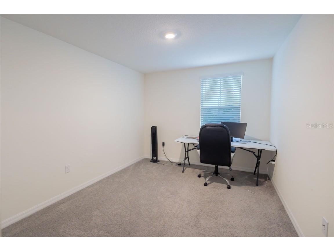 16546 Mosaic Oar Drive Wimauma FL 33598 TB8454753 image20