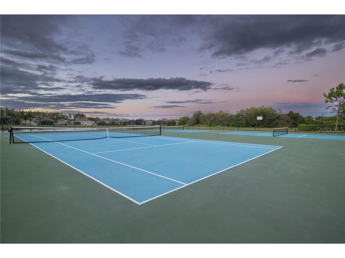 16546 Mosaic Oar Drive Wimauma FL 33598 TB8454753 image35