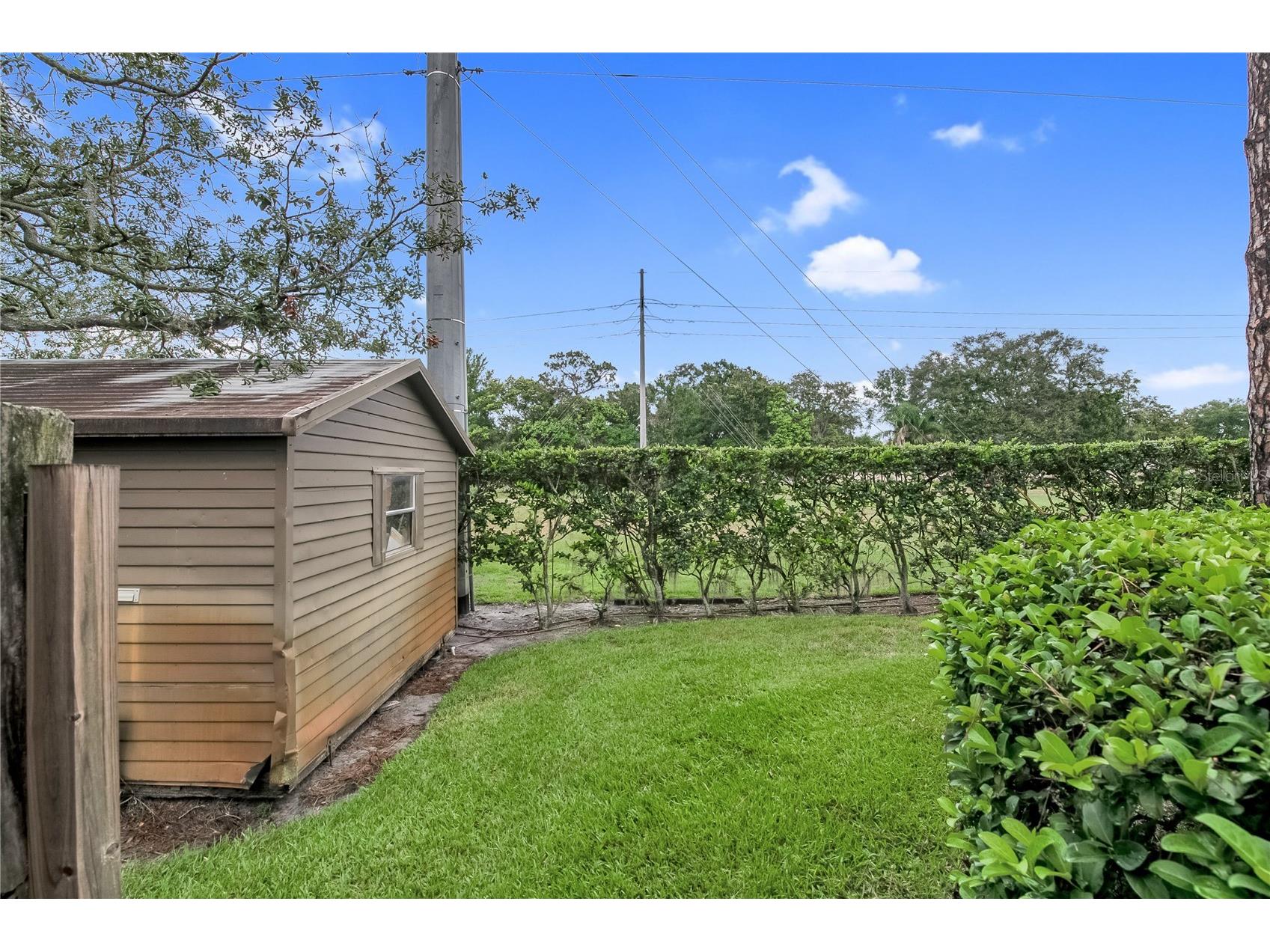 16547 Lake Brigadoon Circle Tampa FL 33618 TB8526604 image31