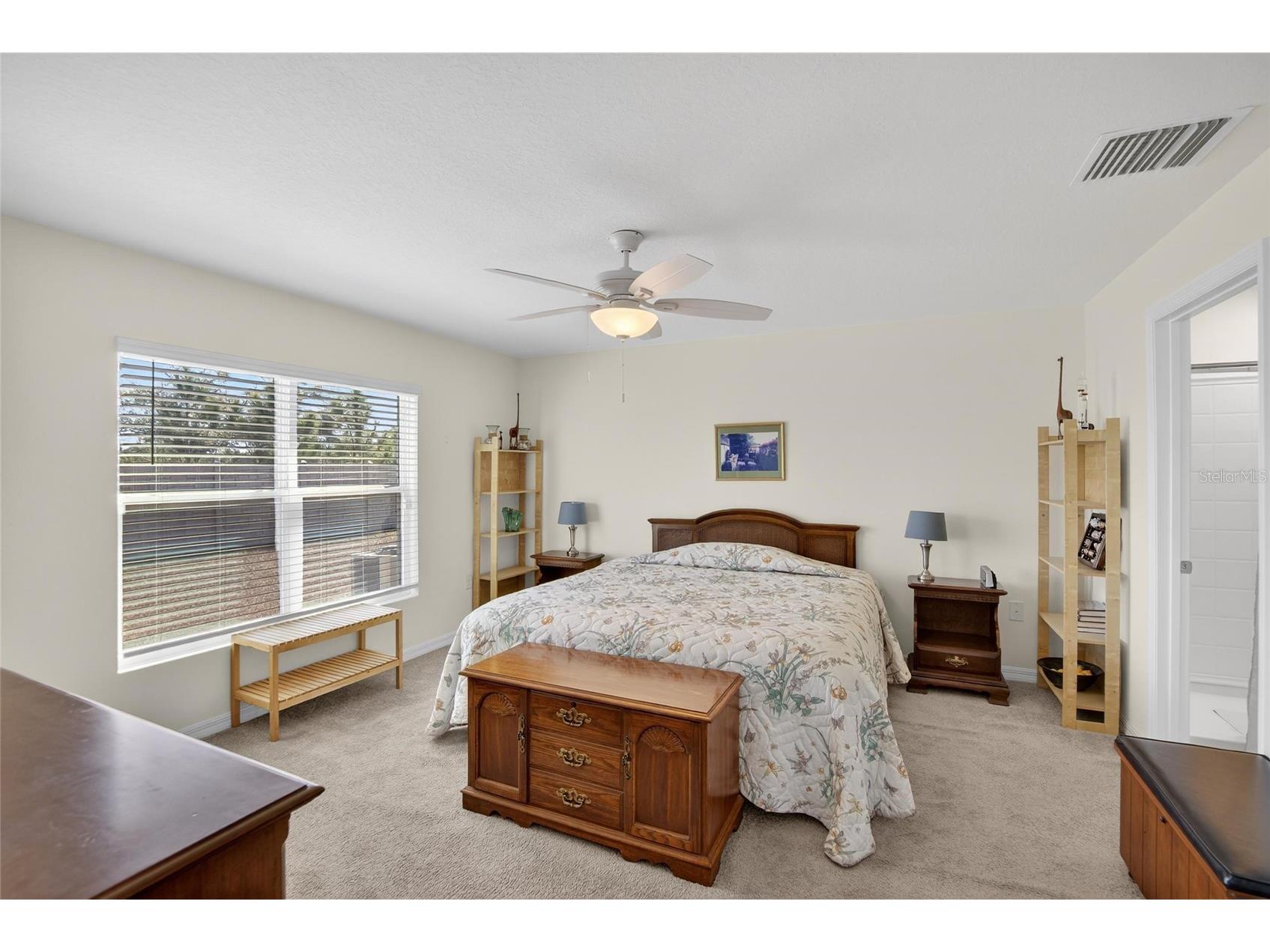 16547 Mosaic Oar Drive Wimauma FL 33598 TB8468581 image28