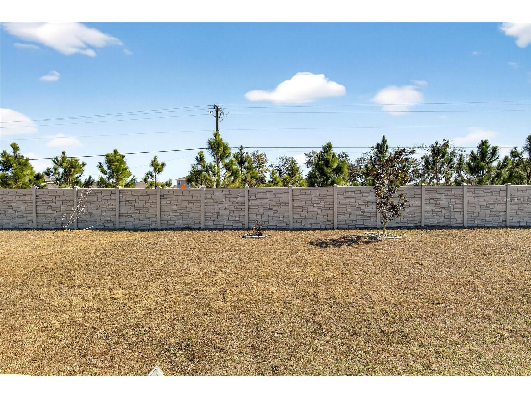 16547 Mosaic Oar Drive Wimauma FL 33598 TB8468581 image44