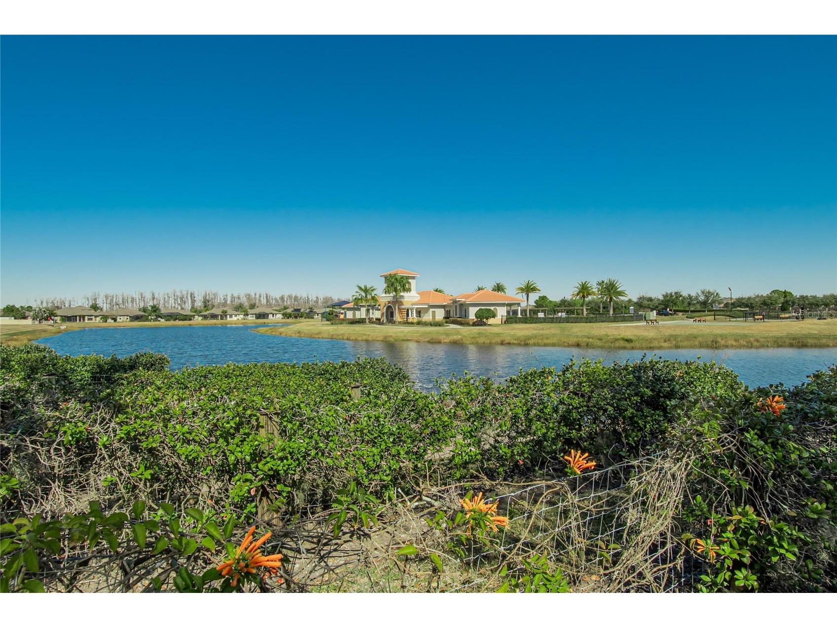 16547 Mosaic Oar Drive Wimauma FL 33598 TB8468581 image53