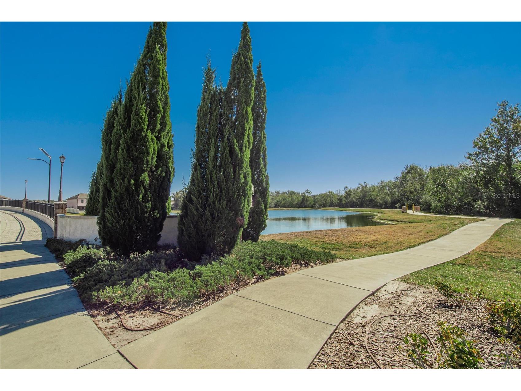 16547 Mosaic Oar Drive Wimauma FL 33598 TB8468581 image56