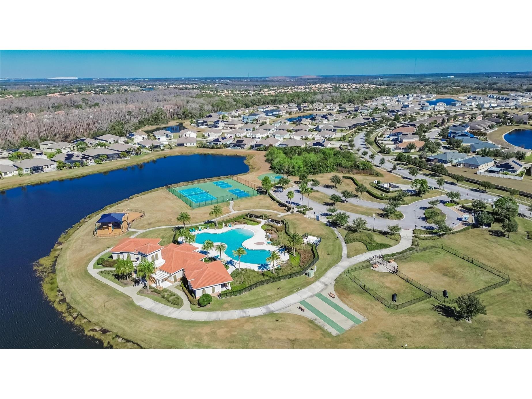 16547 Mosaic Oar Drive Wimauma FL 33598 TB8468581 image65