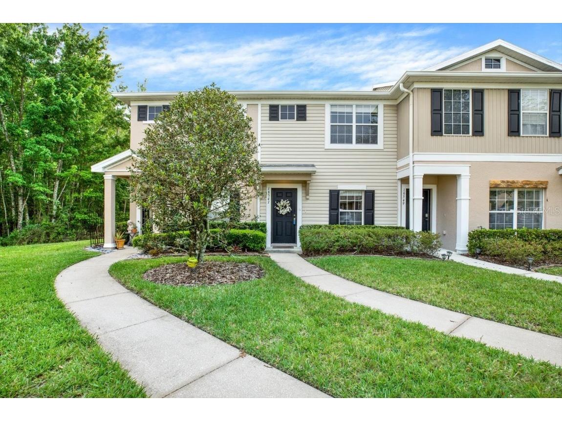 16547 Swan View Circle Odessa FL 33556 T3515857 image1