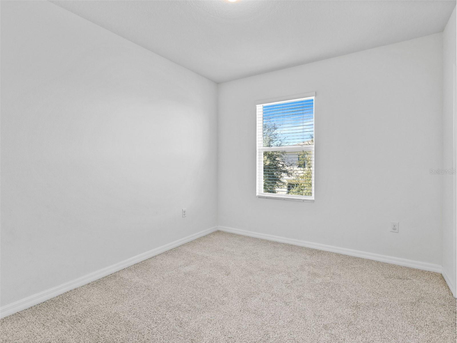 16549 Secret Meadow Drive Odessa FL 33556 TB8473062 image25
