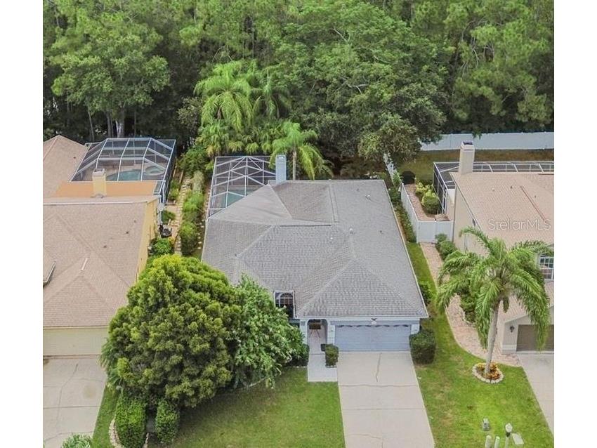 1655 Bayhill Drive Oldsmar FL 34677 U8252407 image1