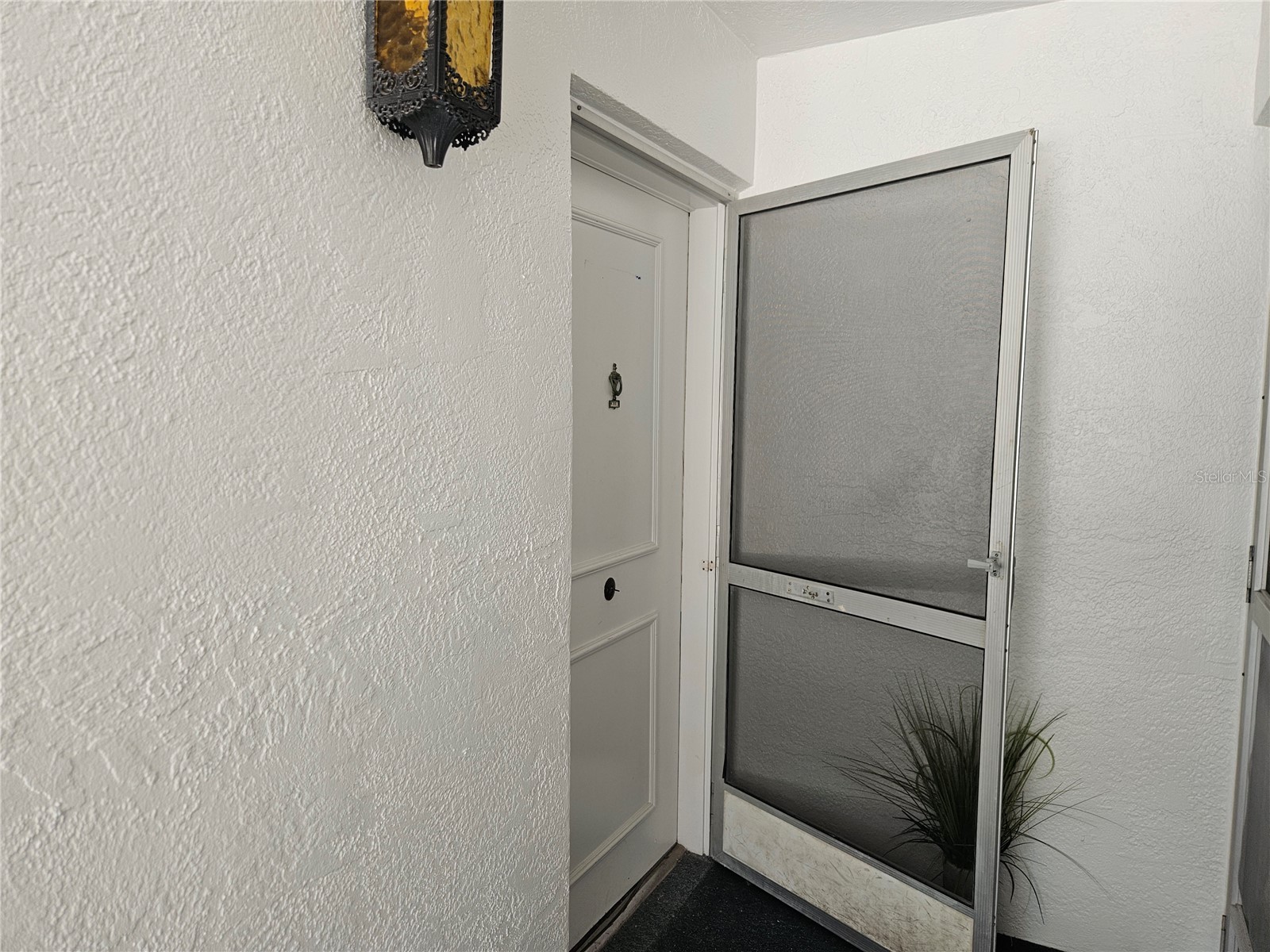 1655 S Highland Avenue #B215 Clearwater FL 33756 TB8516449 image4