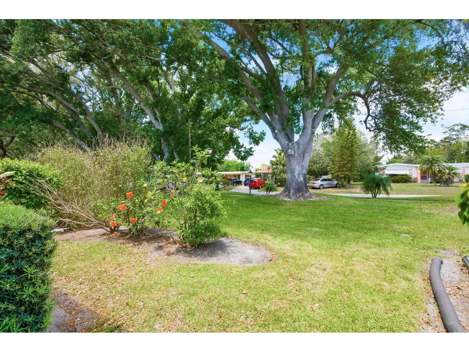 1655 S Highland Avenue #D138 Clearwater FL 33756 TB8500338 image29