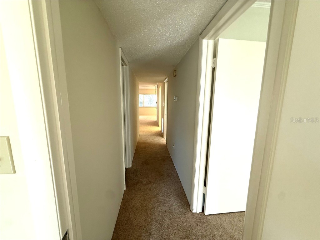 1655 S Highland Avenue #D238 Clearwater FL 33756 TB8422801 image10