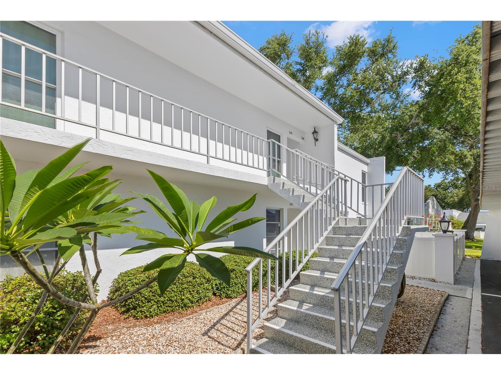 1655 S Highland Avenue #E219 Clearwater FL 33756 TB8513113 image4