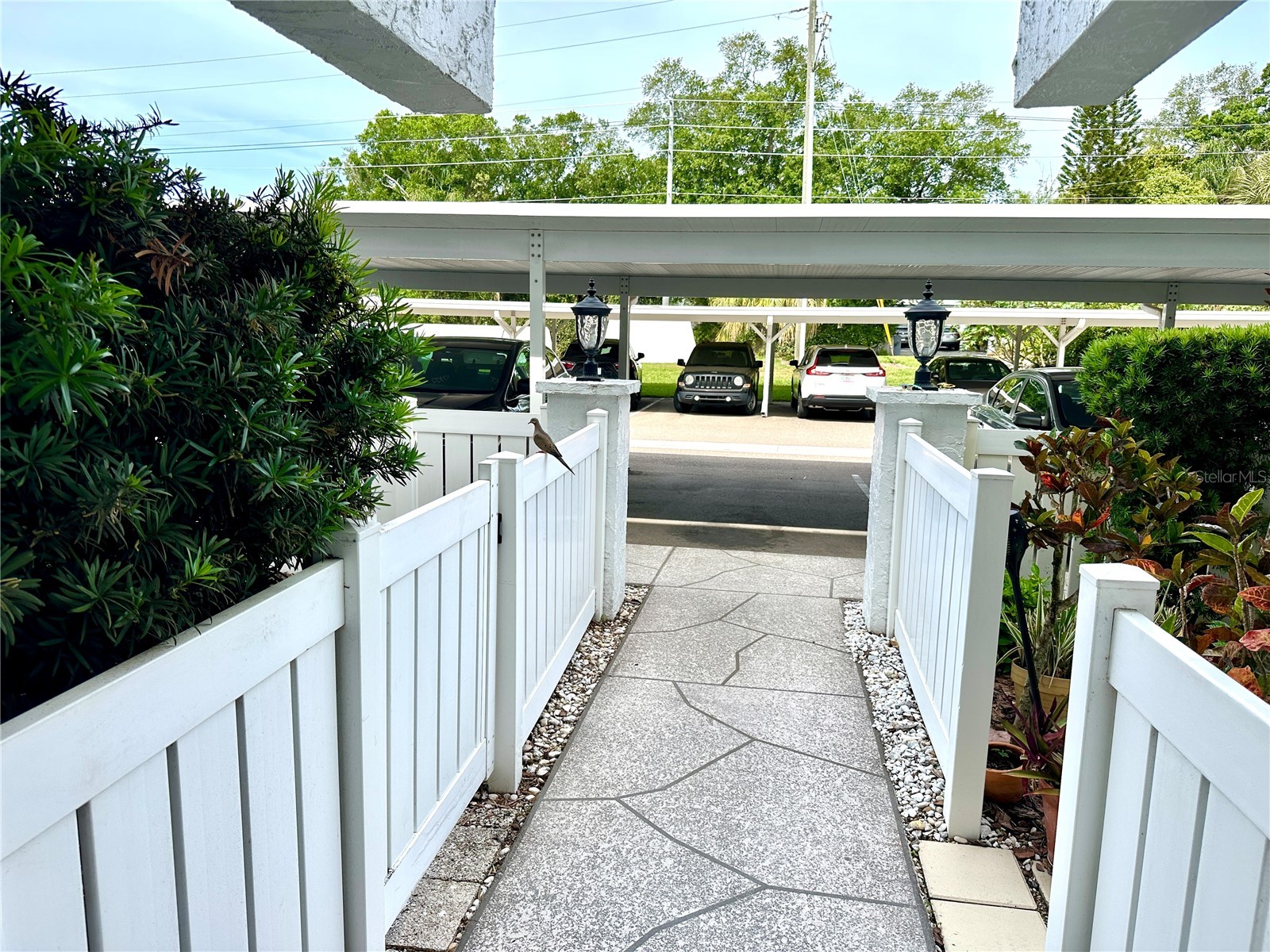 1655 S Highland Avenue #J190 Clearwater FL 33756 TB8501058 image5