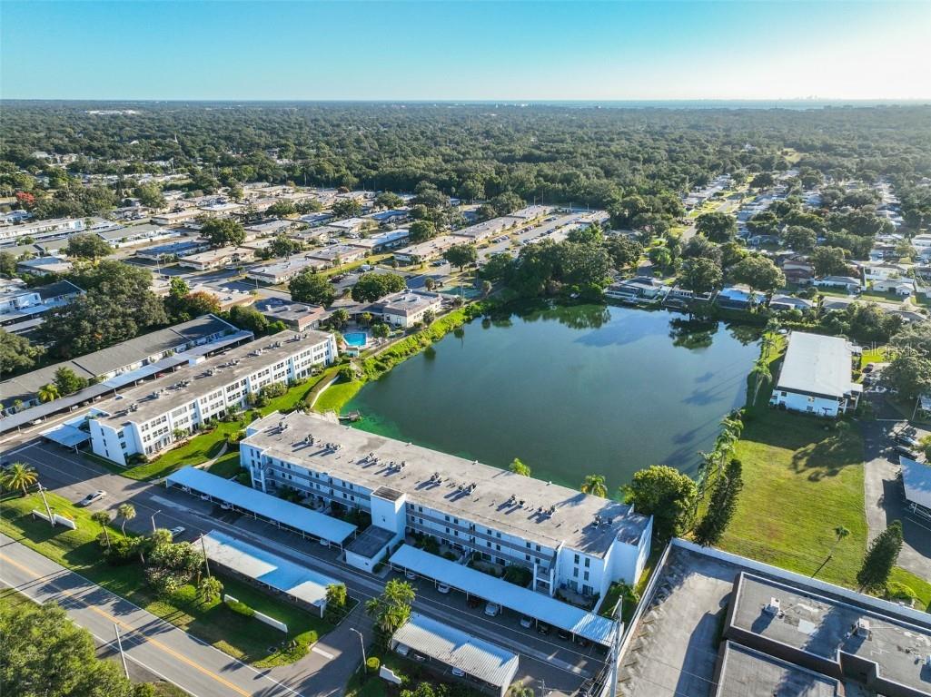 1655 S Highland Avenue #J295 Clearwater FL 33756 TB8440011 image30