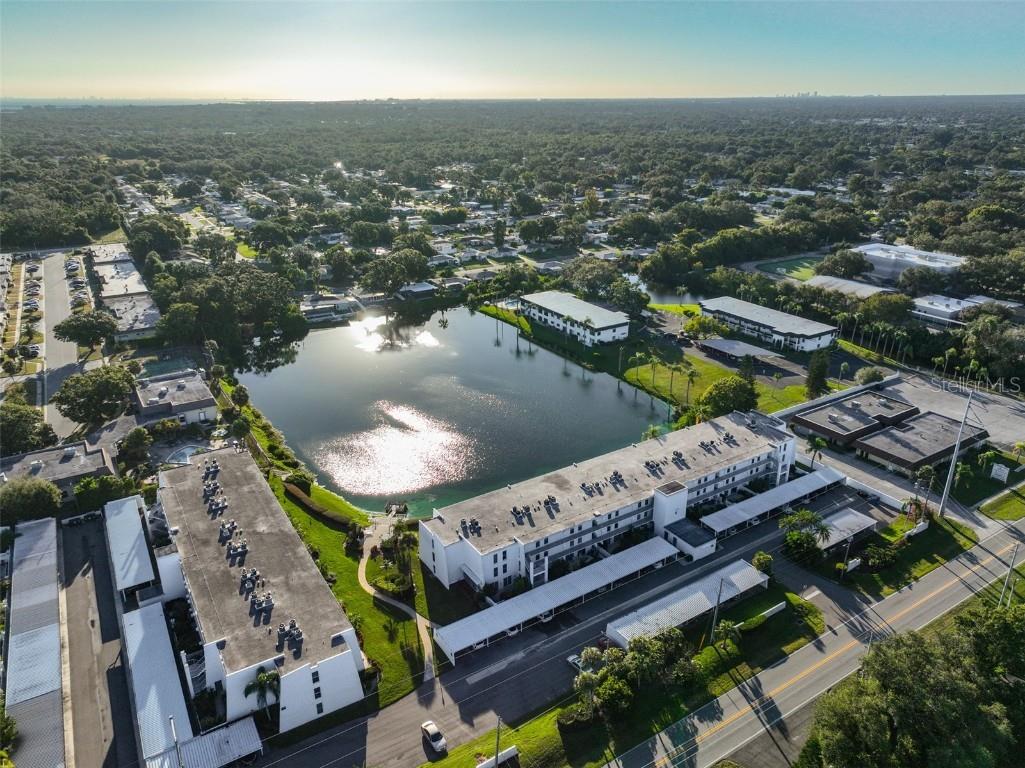 1655 S Highland Avenue #J295 Clearwater FL 33756 TB8440011 image31