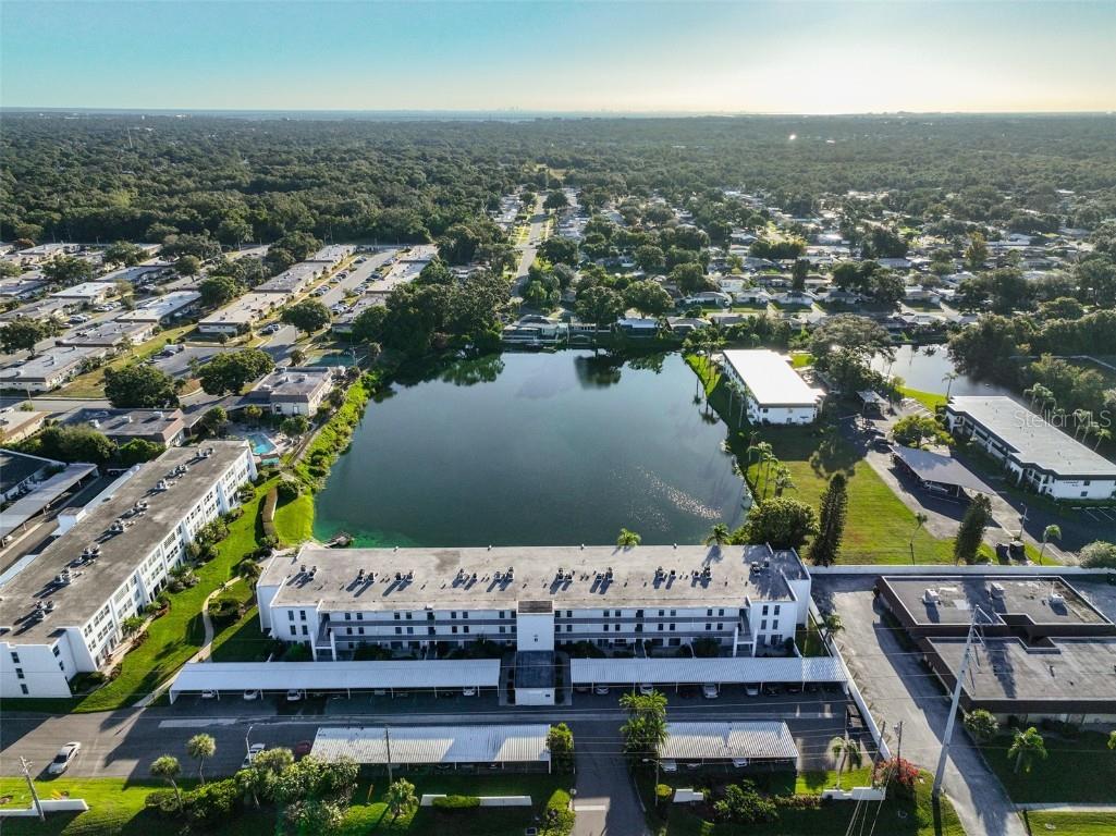 1655 S Highland Avenue #J295 Clearwater FL 33756 TB8440011 image33