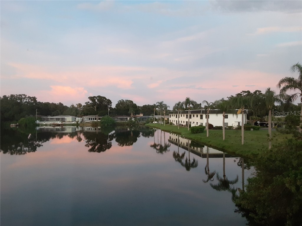 1655 S Highland Avenue #J295 Clearwater FL 33756 TB8440011 image41