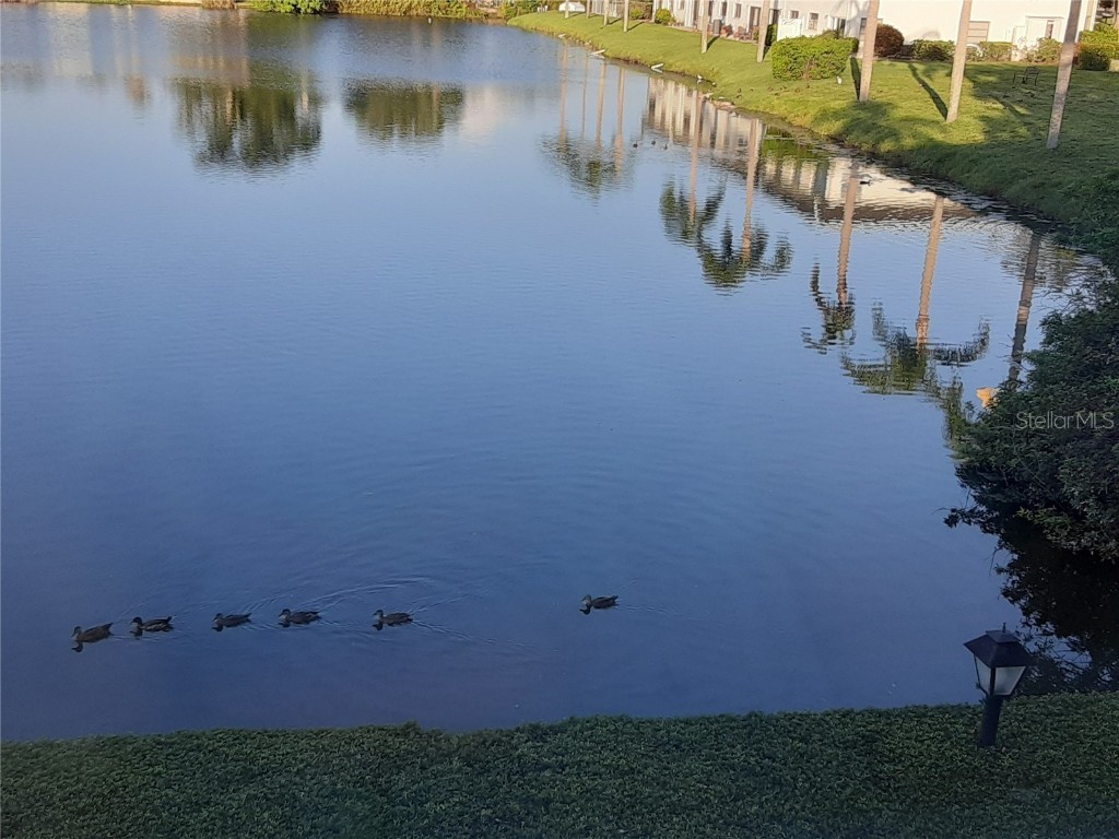 1655 S Highland Avenue #J295 Clearwater FL 33756 TB8440011 image42