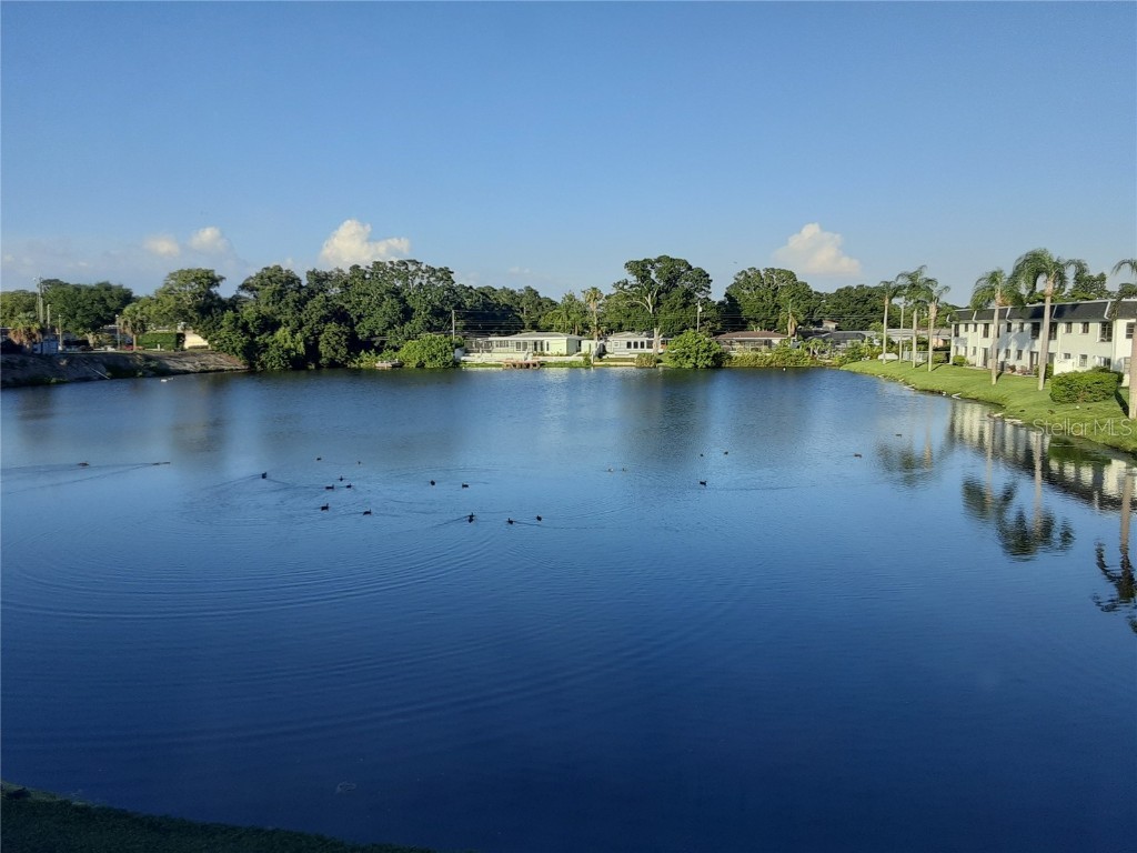 1655 S Highland Avenue #J295 Clearwater FL 33756 TB8440011 image45