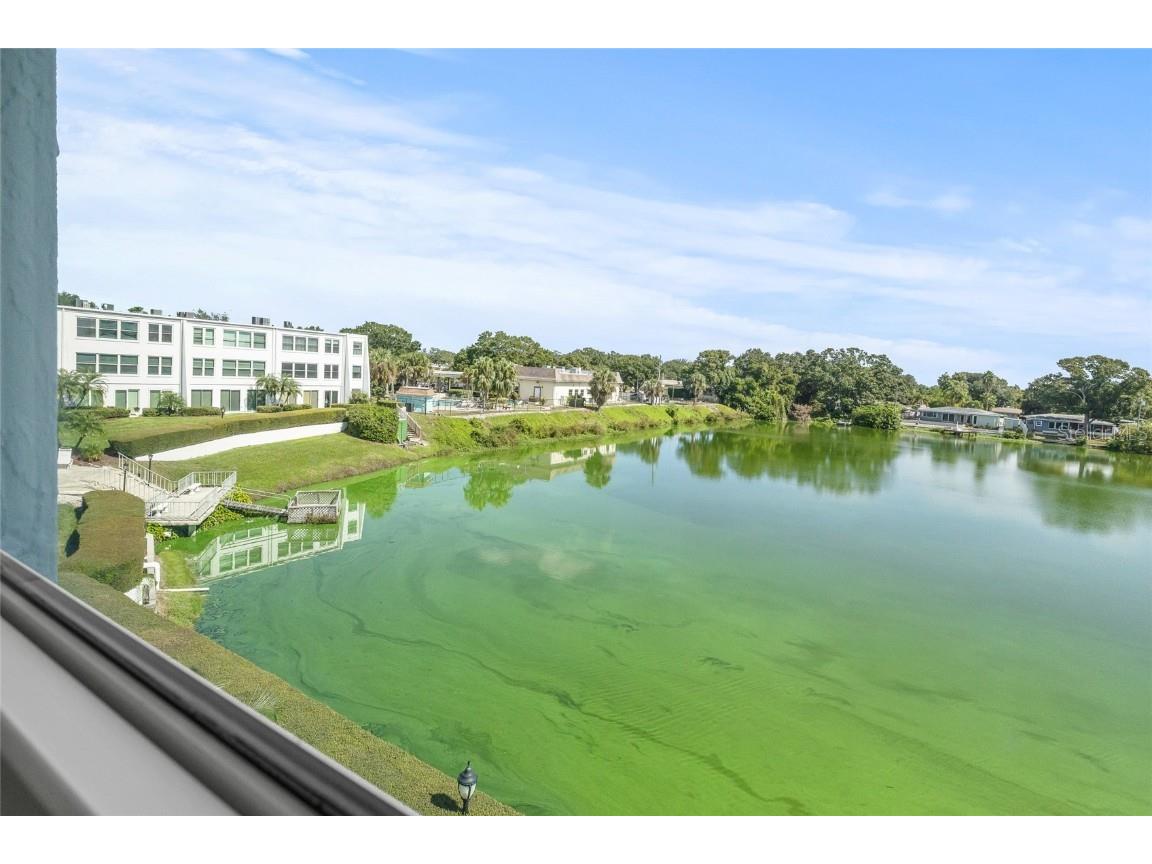 1655 S Highland Avenue #J390 Clearwater FL 33756 TB8444544 image25