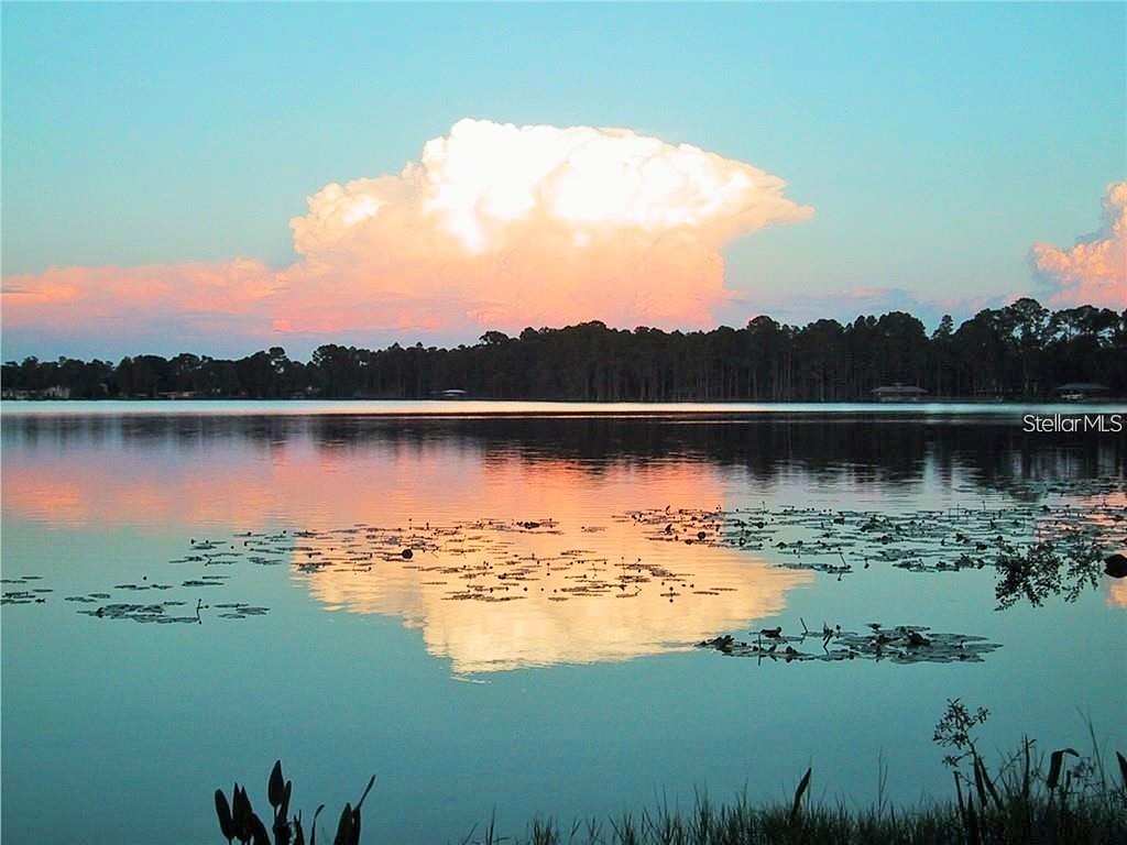 16550 Brigadoon Drive Tampa FL 33618 T3434650 image1