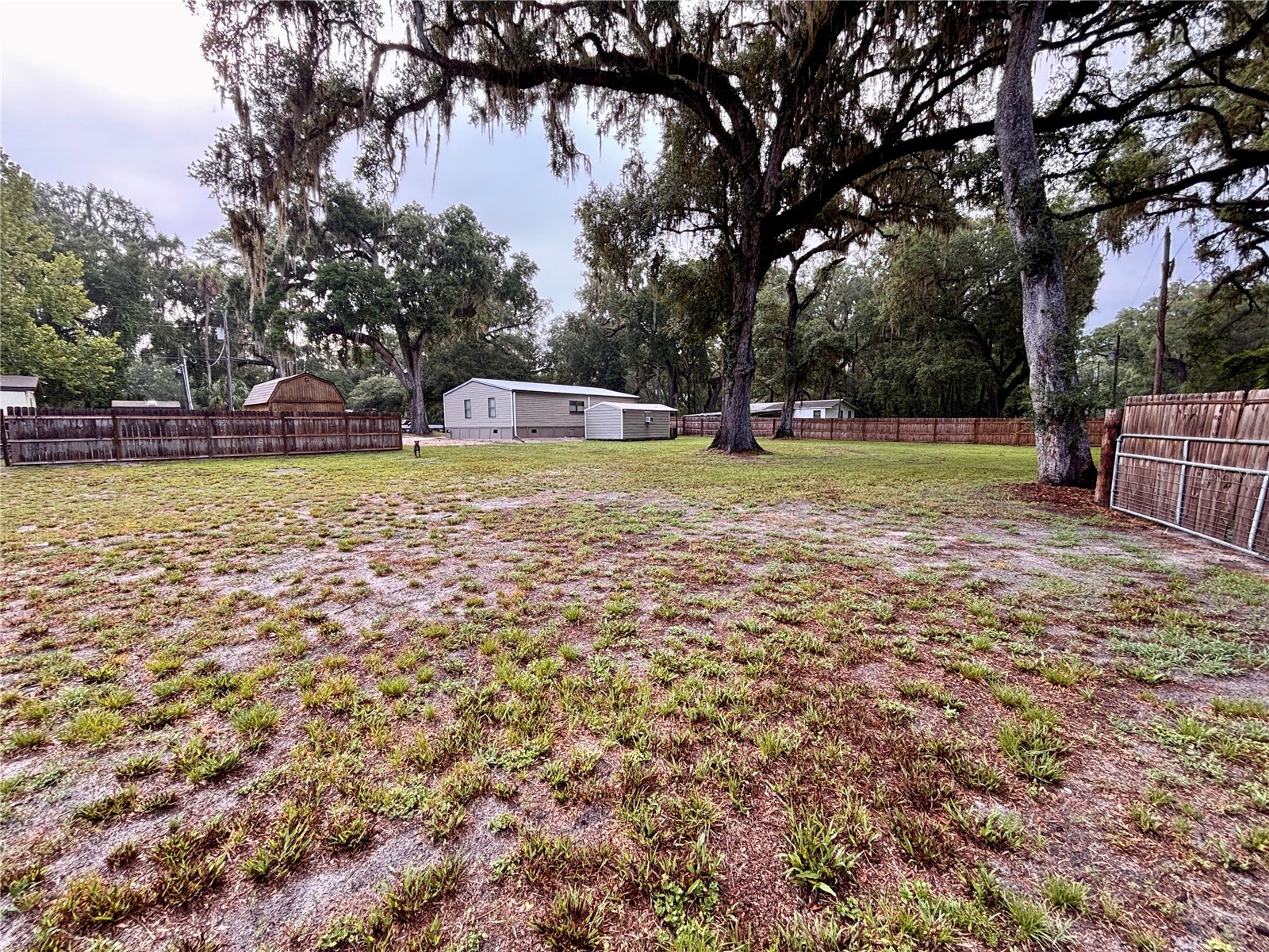16581 NE 42nd Avenue Citra FL 32113 OM728142 image41