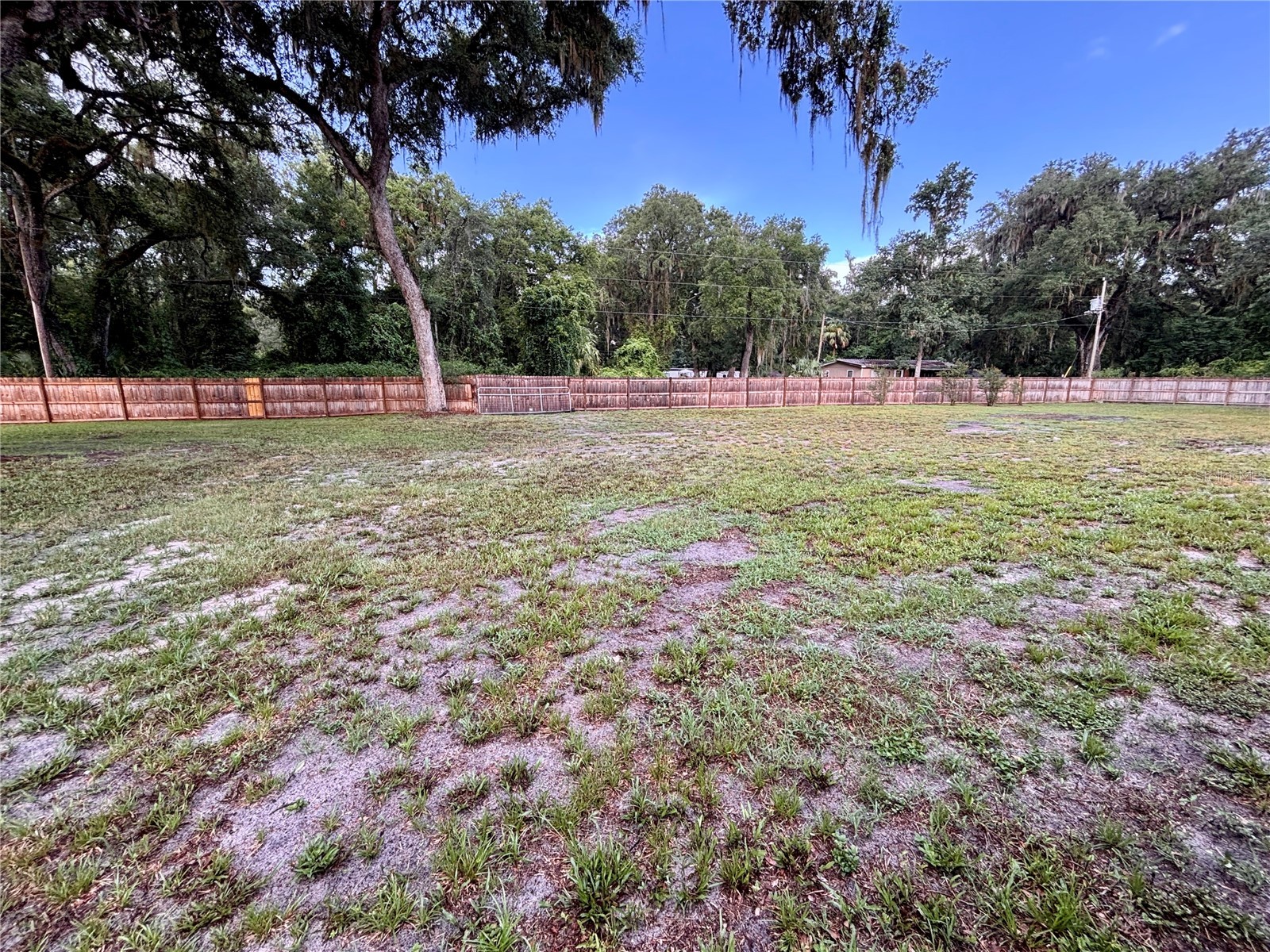 16581 NE 42nd Avenue Citra FL 32113 OM728142 image55