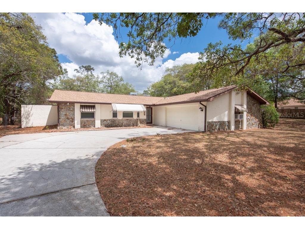 16551 Fringe Tree Drive Spring Hill FL 34610 T3440460 image1