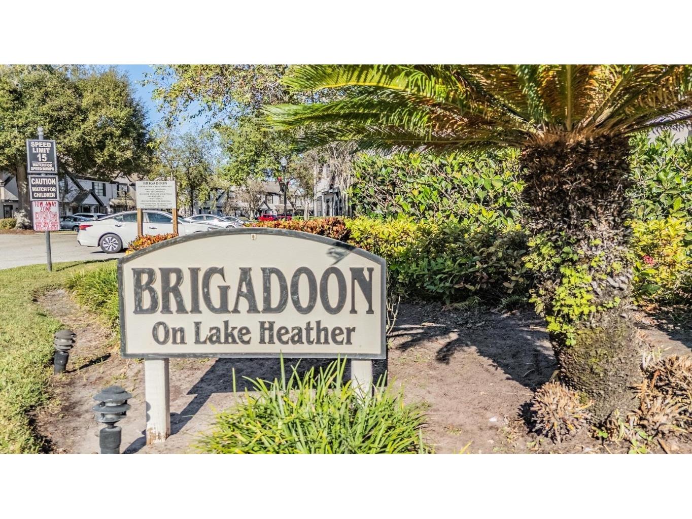 16553 Brigadoon Drive Tampa FL 33618 TB8446335 image2
