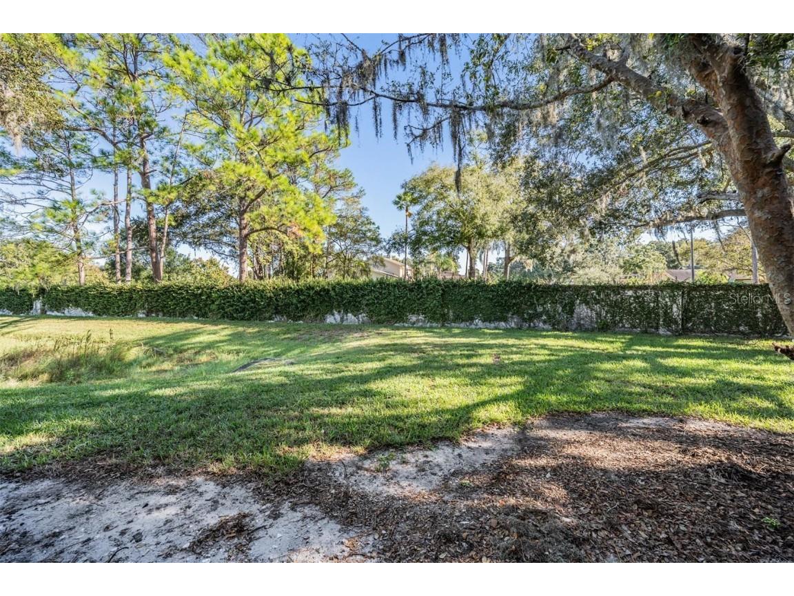 16553 Brigadoon Drive Tampa FL 33618 TB8446335 image30