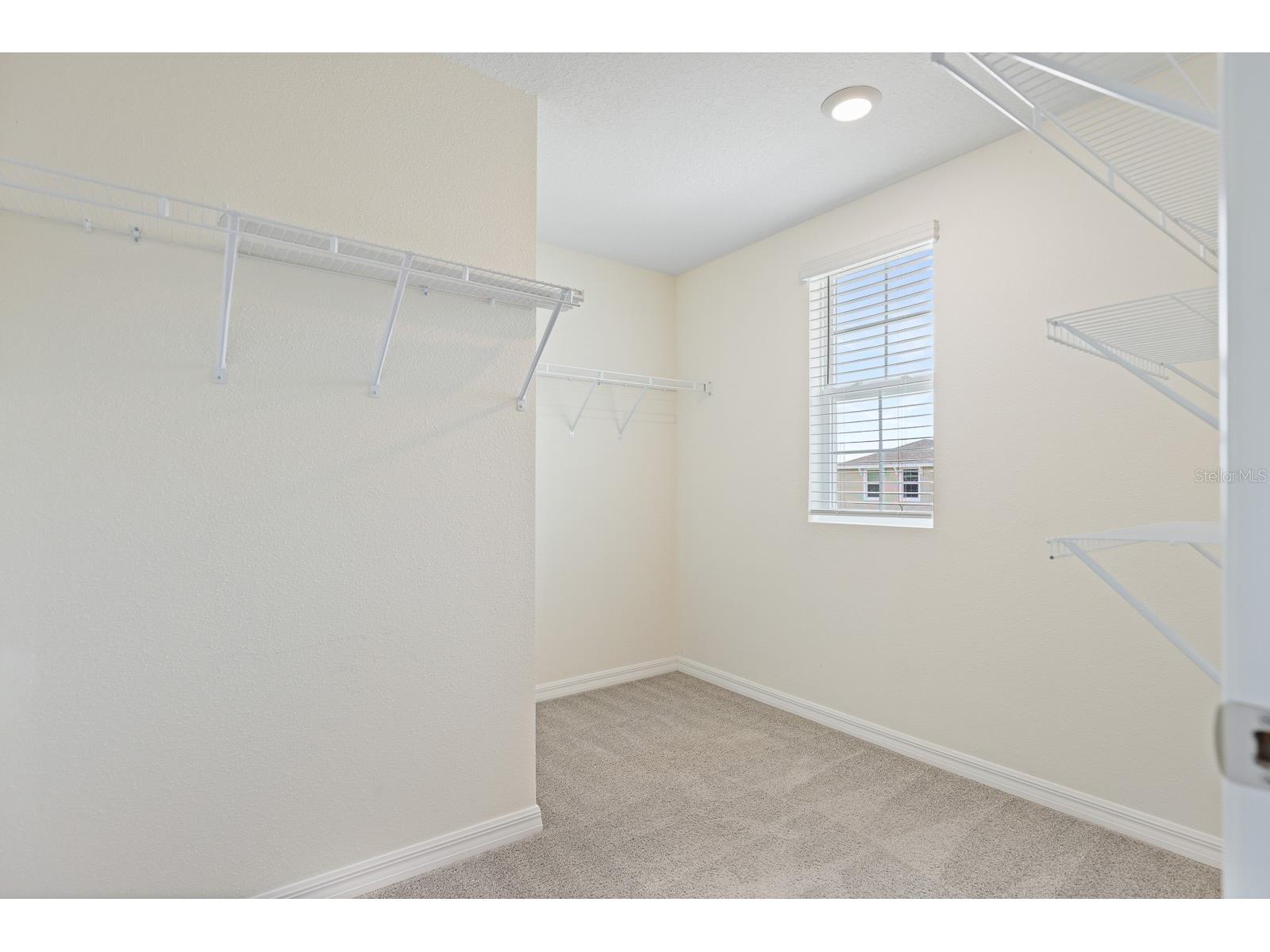 16555 Mosaic Oar Drive Wimauma FL 33598 TB8495988 image25