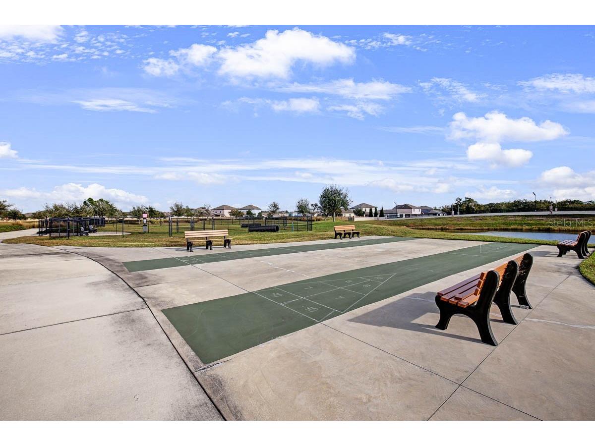 16555 Mosaic Oar Drive Wimauma FL 33598 TB8495988 image46