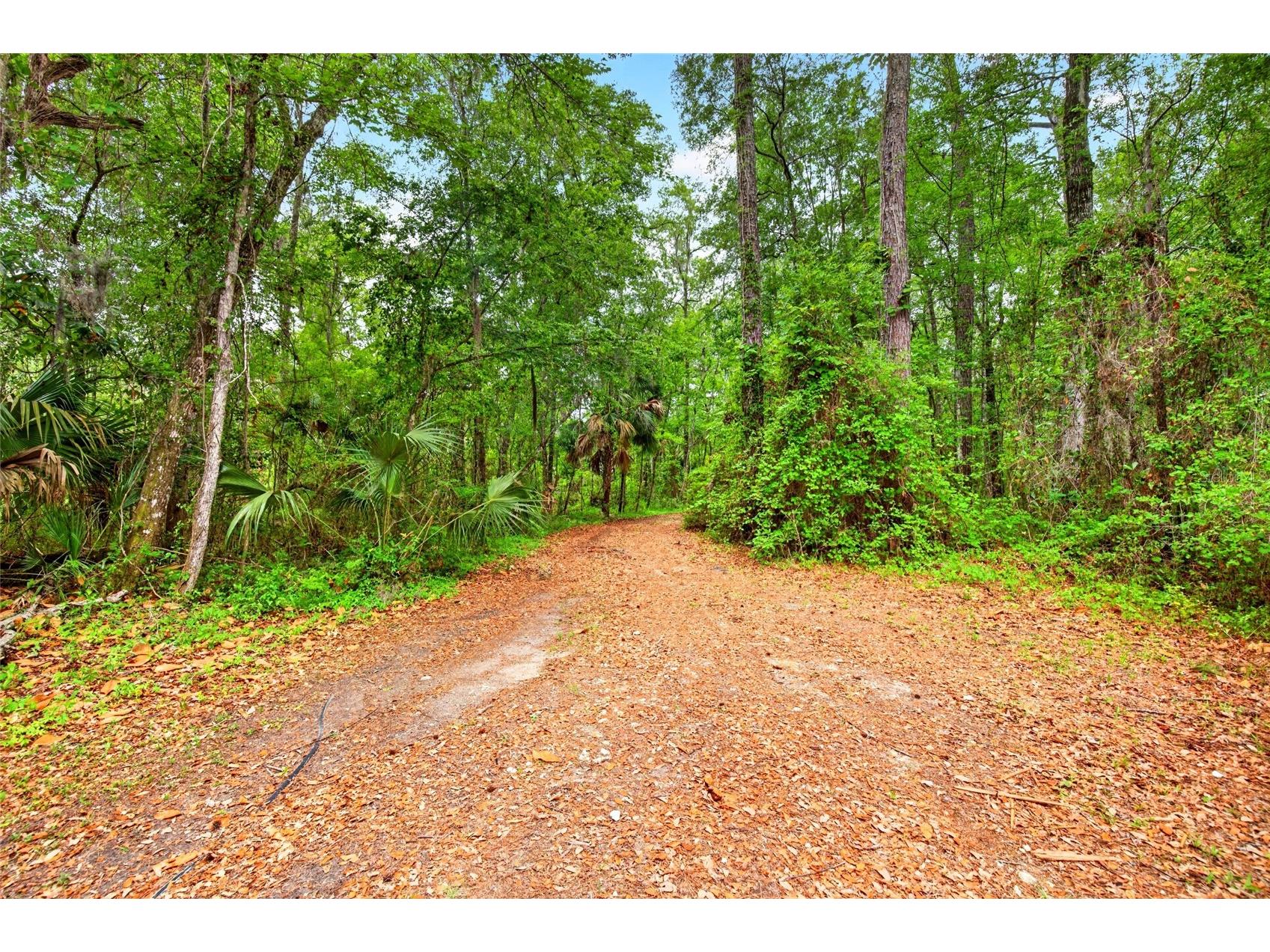 16555 N Highway 329 Reddick FL 32686 OM724739 image32