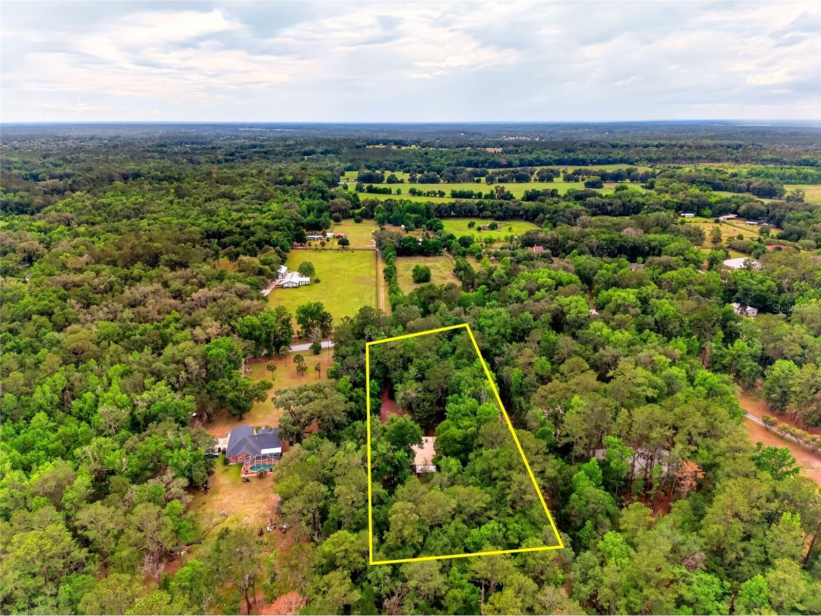 16555 N Highway 329 Reddick FL 32686 OM724739 image35