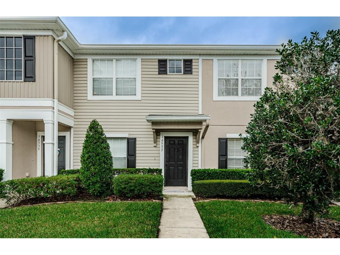 16557 Swan View Circle Odessa FL 33556 U8221445 image1