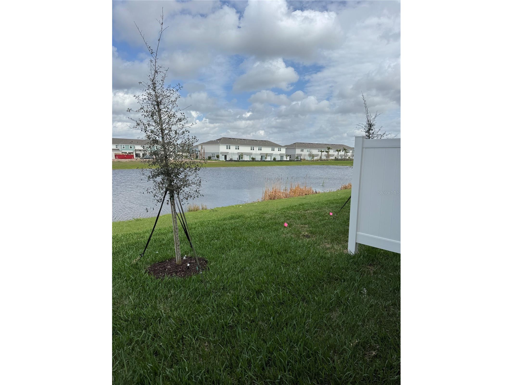 16559 San Nicola Place Bradenton FL 34211 A4682271 image21