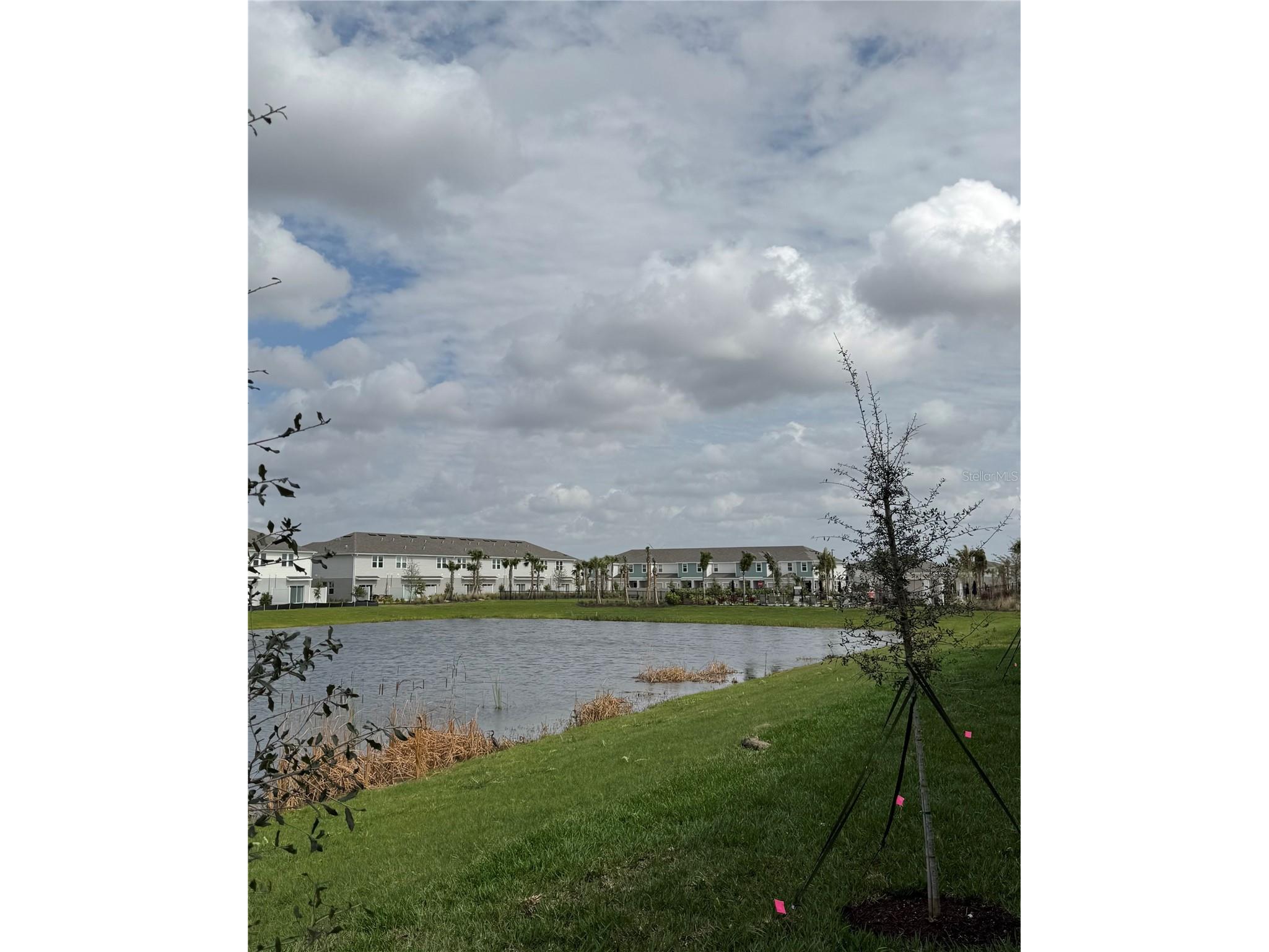 16559 San Nicola Place Bradenton FL 34211 A4682271 image22