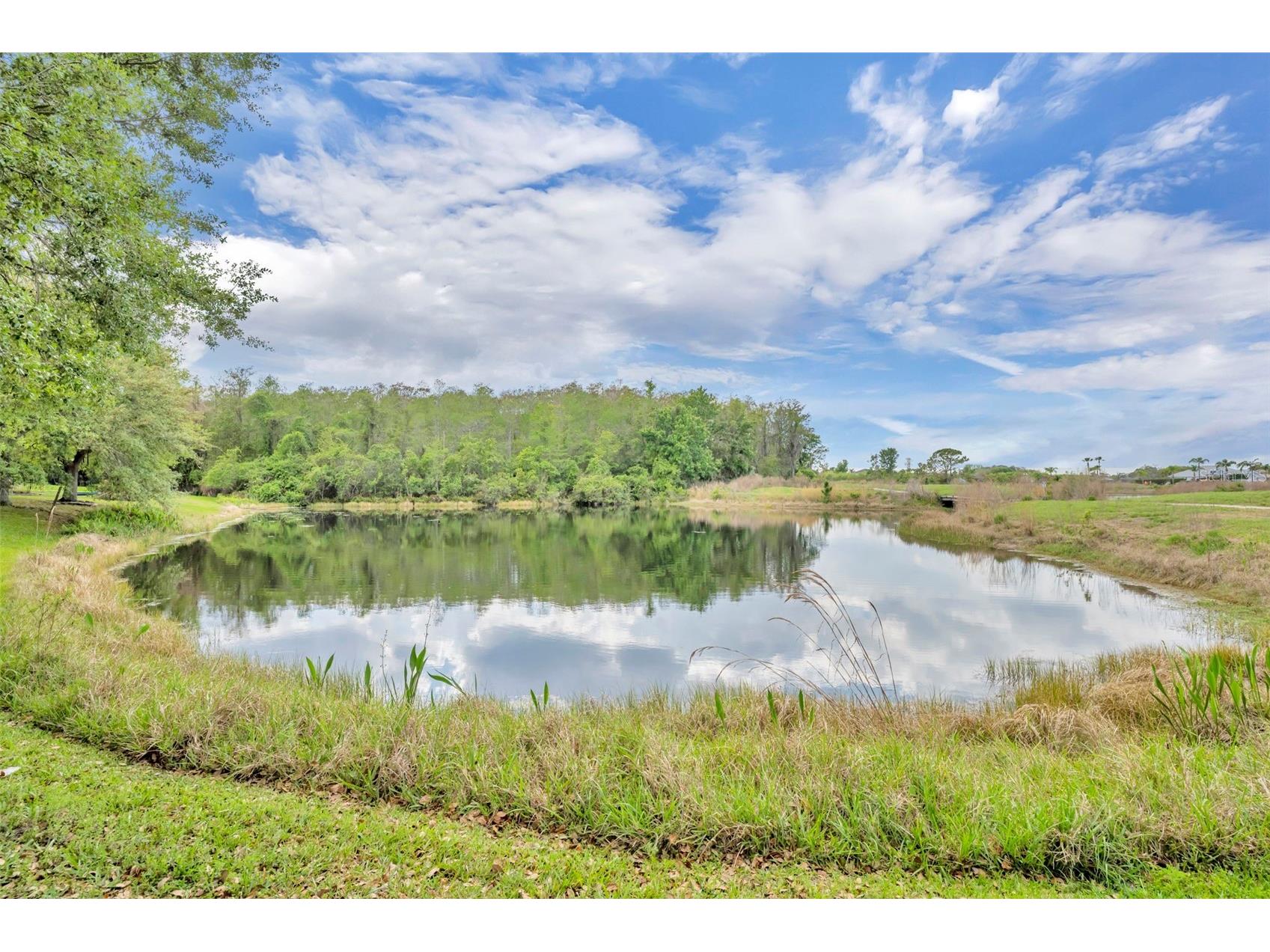 1656 Anna Catherine Drive Orlando FL 32828 O6394770 image31