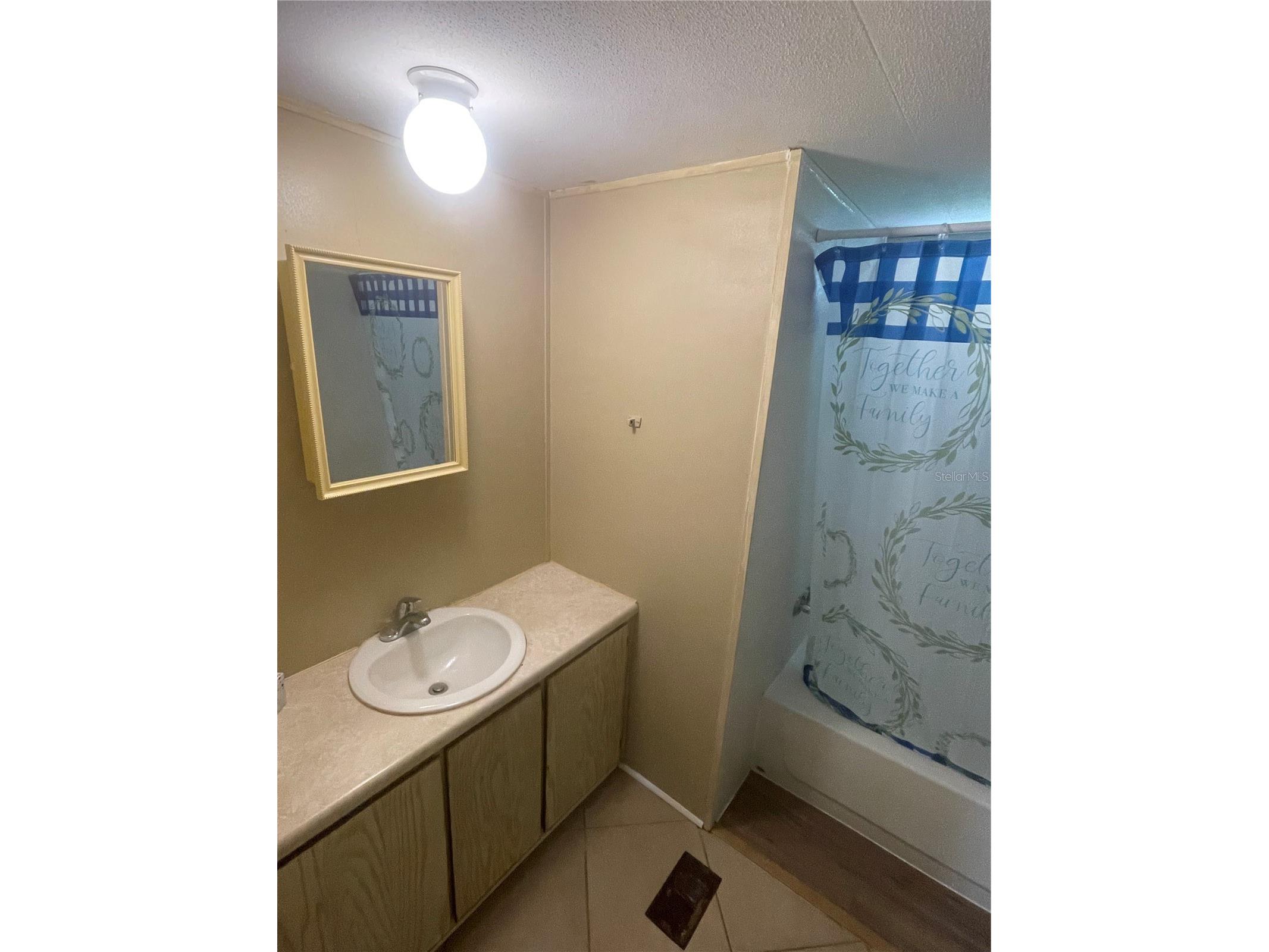 1656 Haddock Street Saint Cloud FL 34771 - LAKE LIZZIE S5144254 image27
