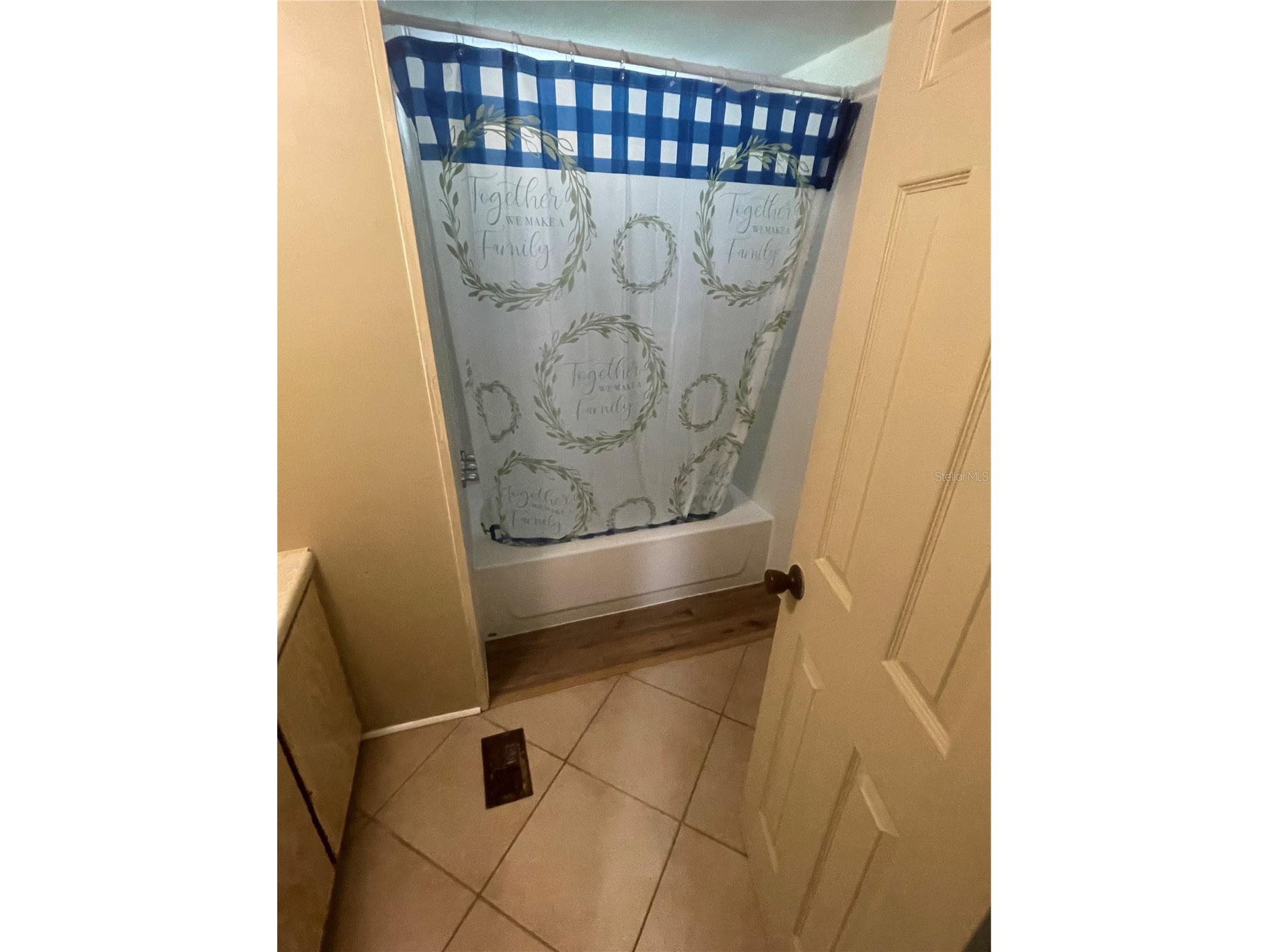 1656 Haddock Street Saint Cloud FL 34771 - LAKE LIZZIE S5144254 image28