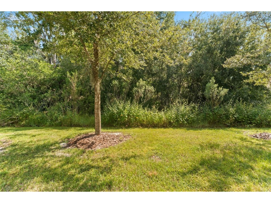 1656 Hubbell Road Wesley Chapel FL 33543 TB8431435 image28