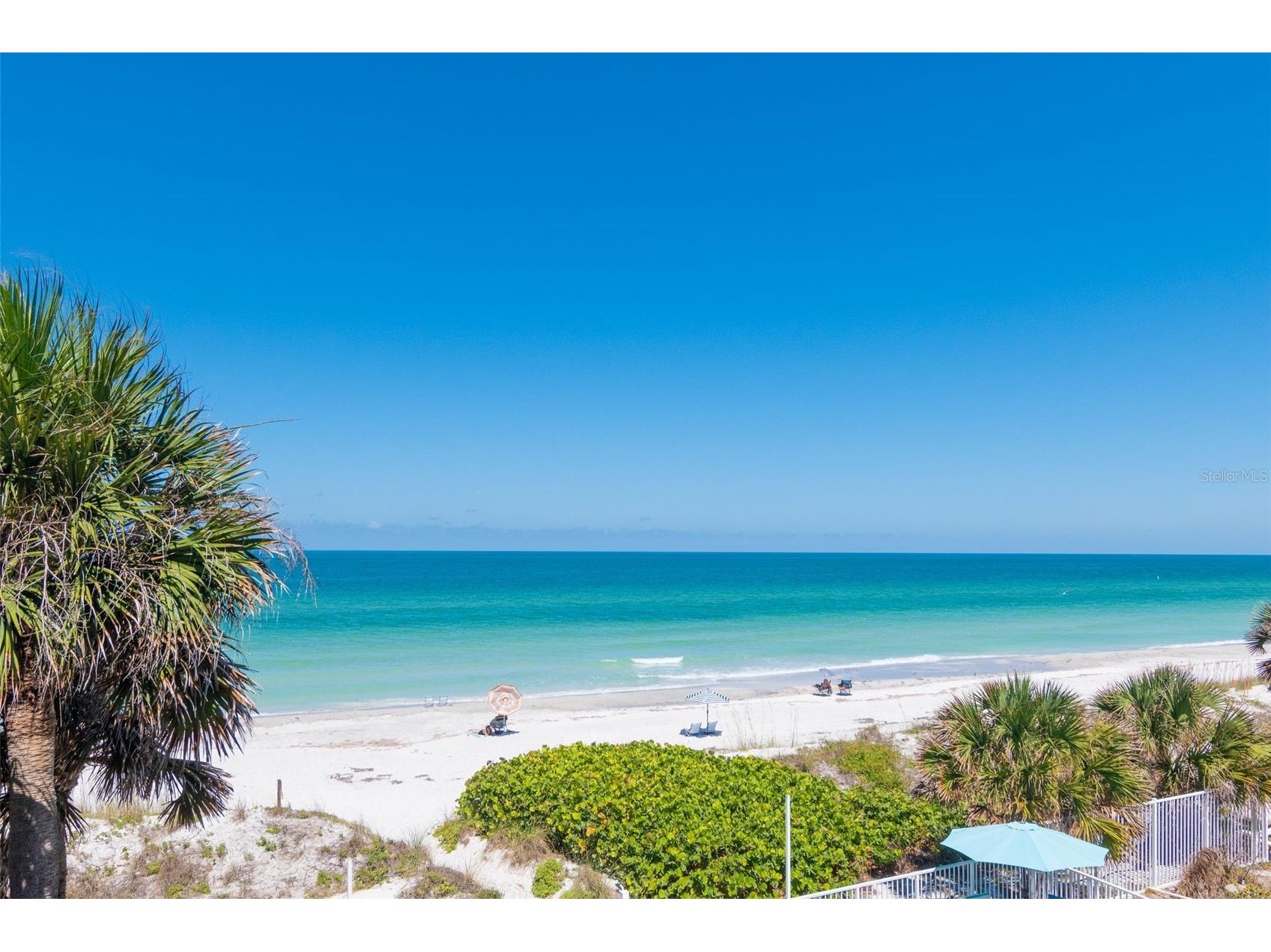 1656 S Lake Avenue #4 Clearwater FL 33756 TB8511256 image18