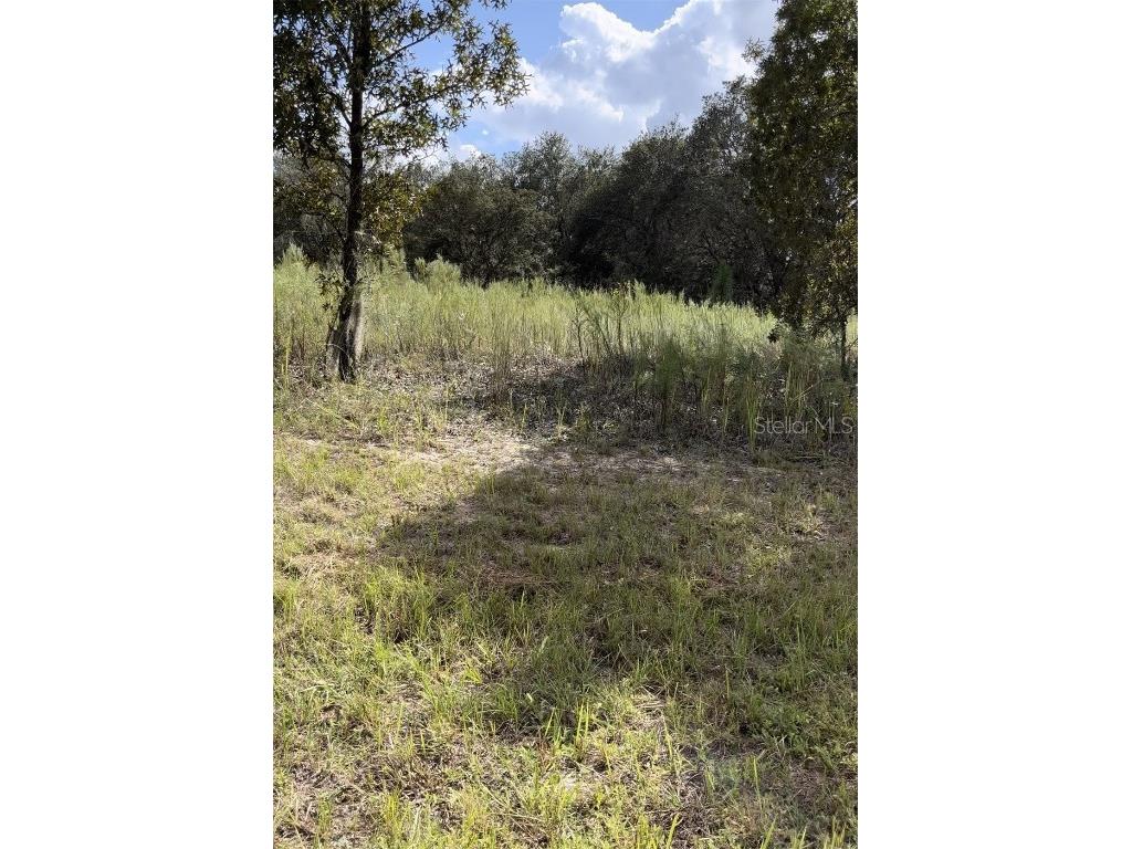 1656 W Hampshire Boulevard Citrus Springs FL 34434 A4587375 image1