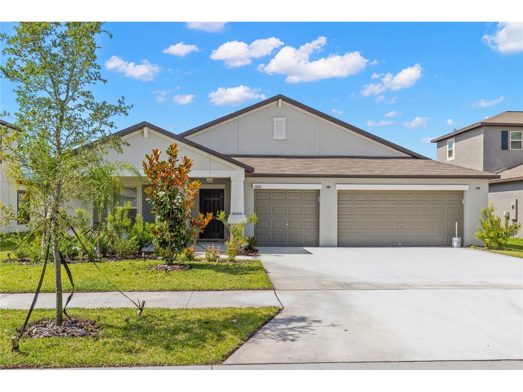 16561 Delia Street Wimauma FL 33598 TB8529628 image1