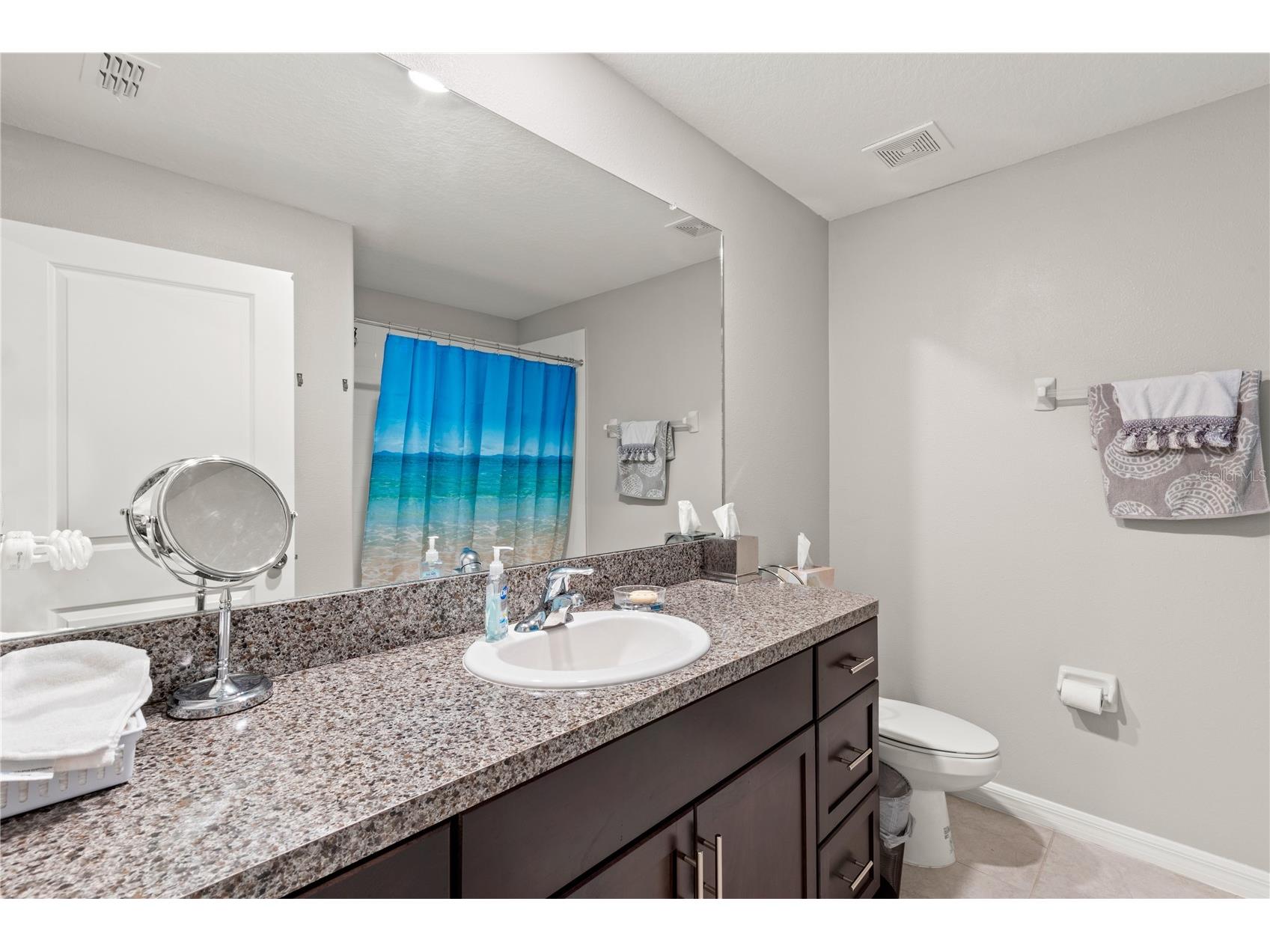 16561 Delia Street Wimauma FL 33598 TB8529628 image12