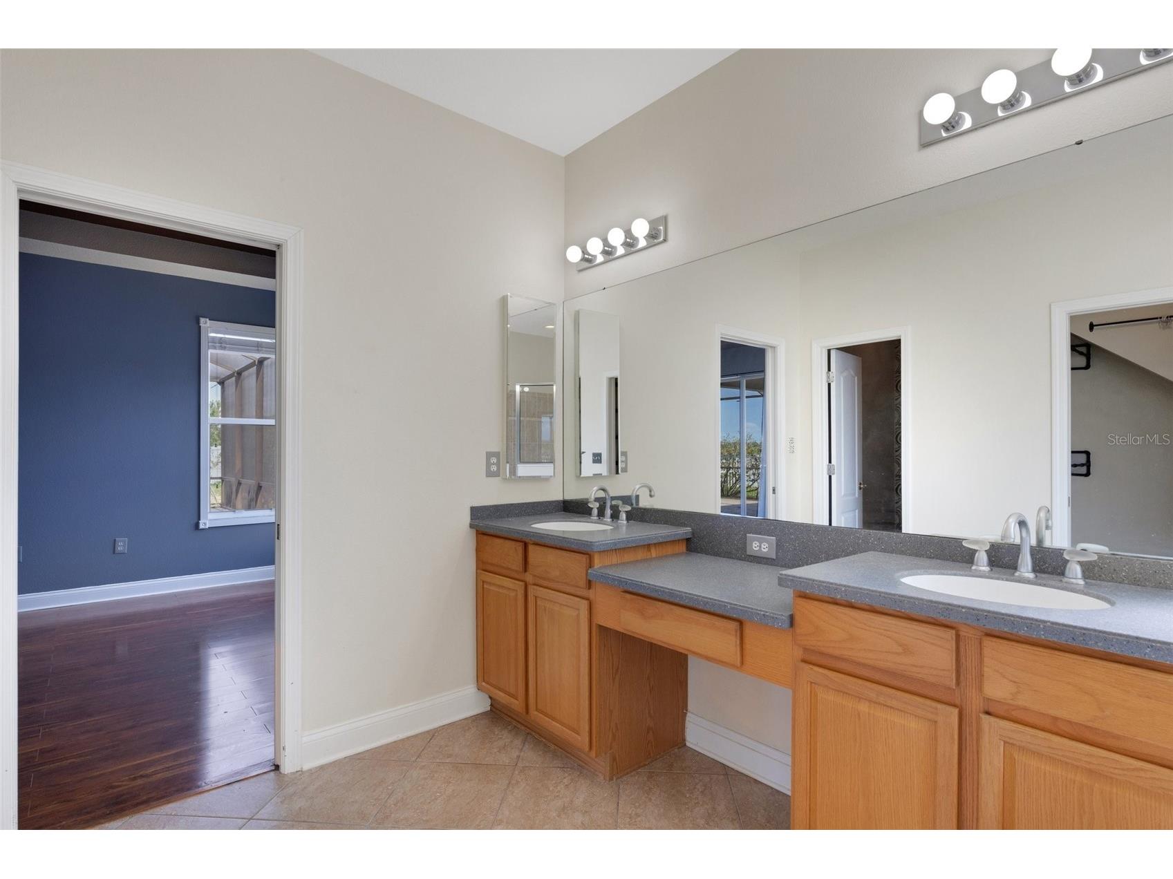 1657 Bonita Bluff Court Ruskin FL 33570 A4651207 image52