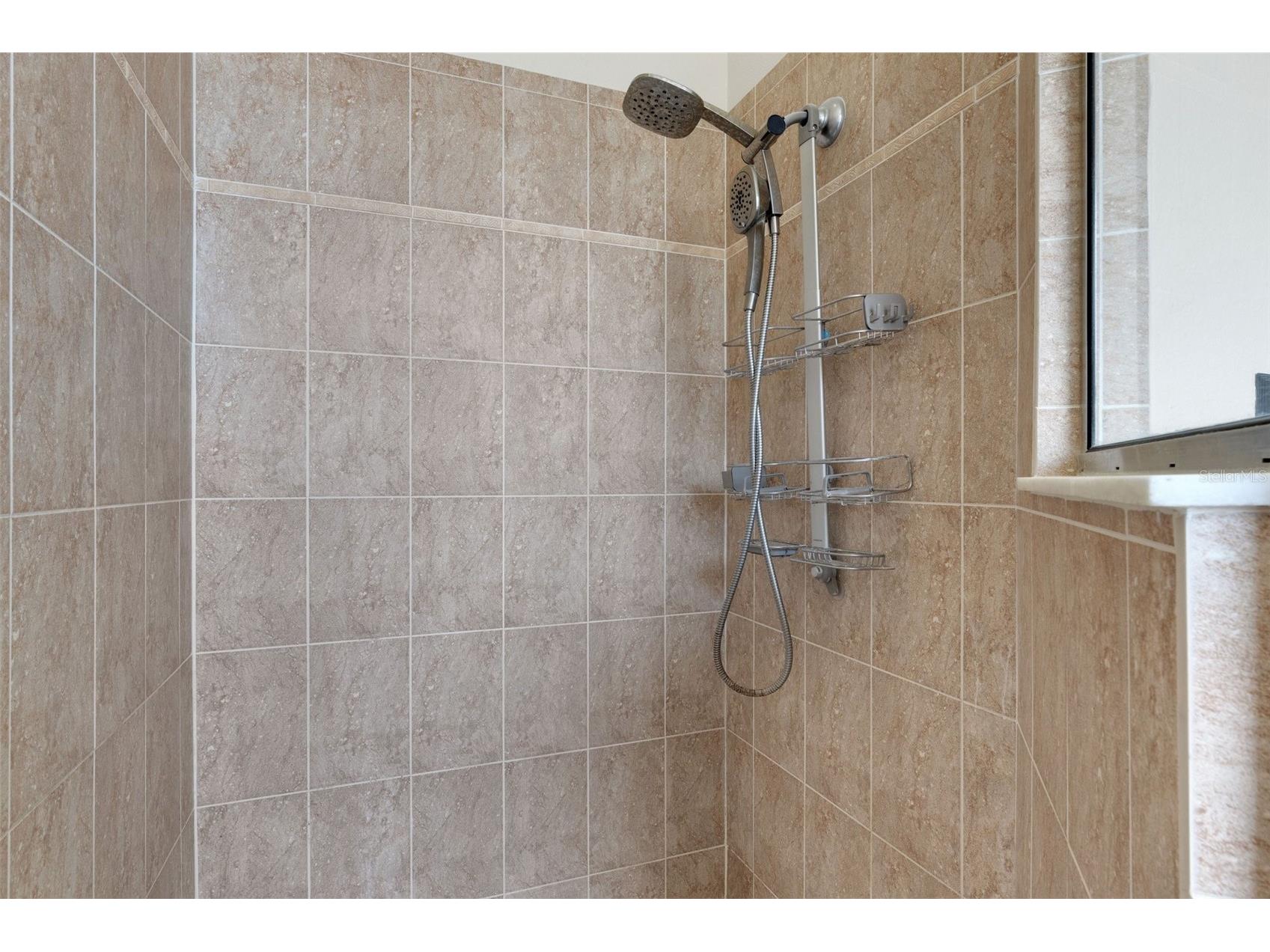 1657 Bonita Bluff Court Ruskin FL 33570 A4651207 image54