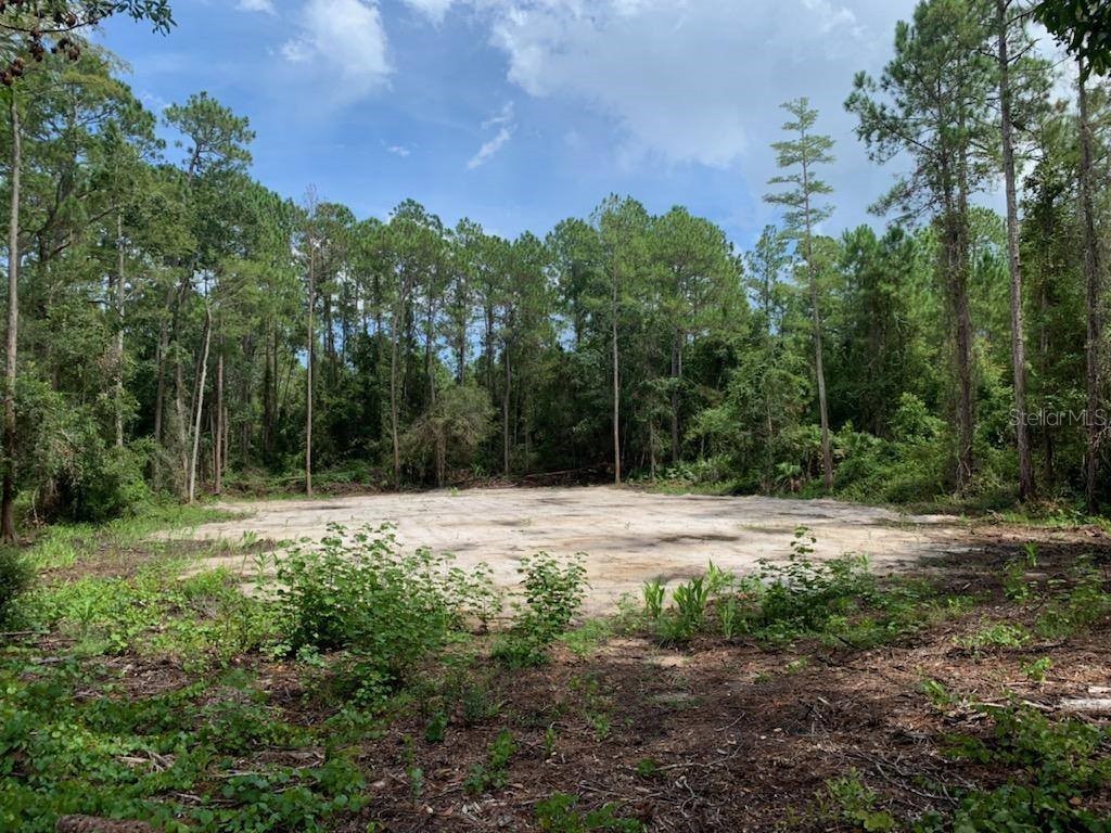 1657 Papaya Street Bunnell FL 32110 FC298154 image1