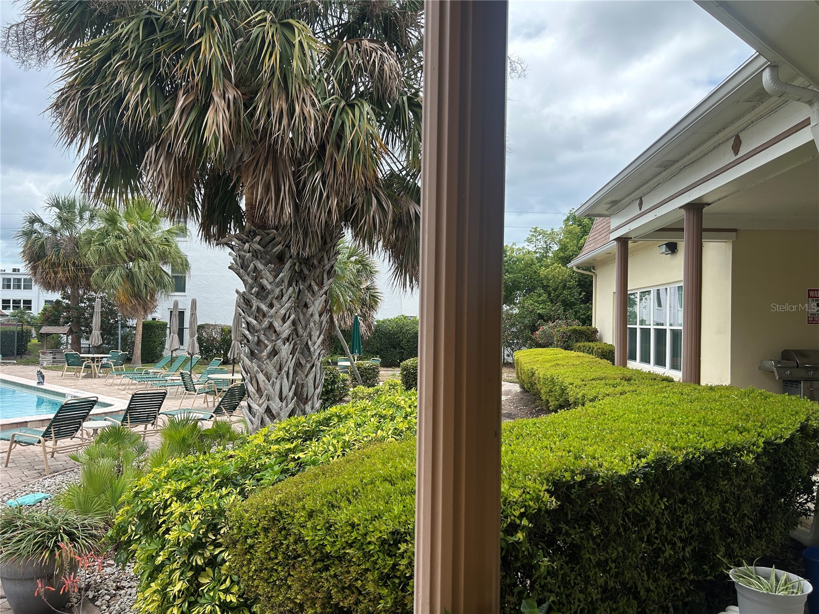 1657 S Lake Avenue #3 Clearwater FL 33756 TB8496812 image19
