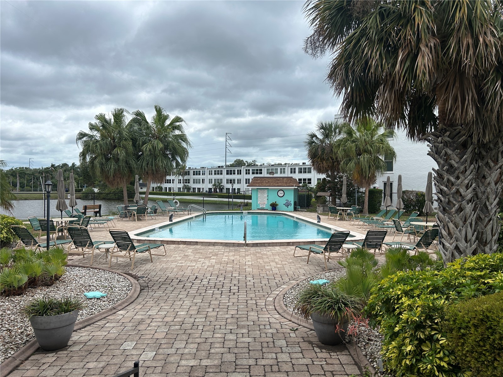 1657 S Lake Avenue #3 Clearwater FL 33756 TB8496812 image25